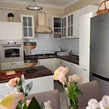 In - Balaton 40755 Holiday home *